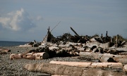9th Oct 2011 - Driftwood Structures
