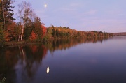 9th Oct 2011 - An evening at Piper Pond