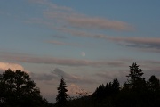 9th Oct 2011 - Moonrise