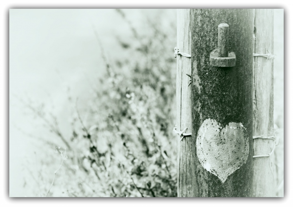 Wear your heart on a post by judithg