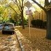 Fall in the Neighborhood by grozanc