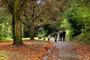 9th Oct 2011 - Autumn