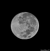 10th Oct 2011 - Full Moon