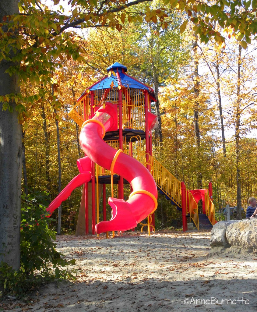 The Play Structure Slide by sunnygreenwood