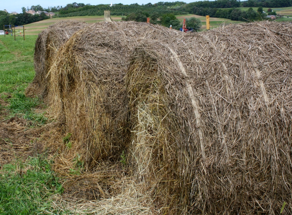 Hay by mittens