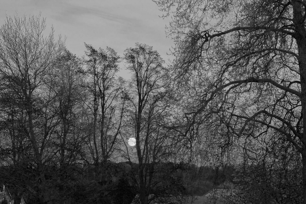 Moonrise over Marlow by netkonnexion