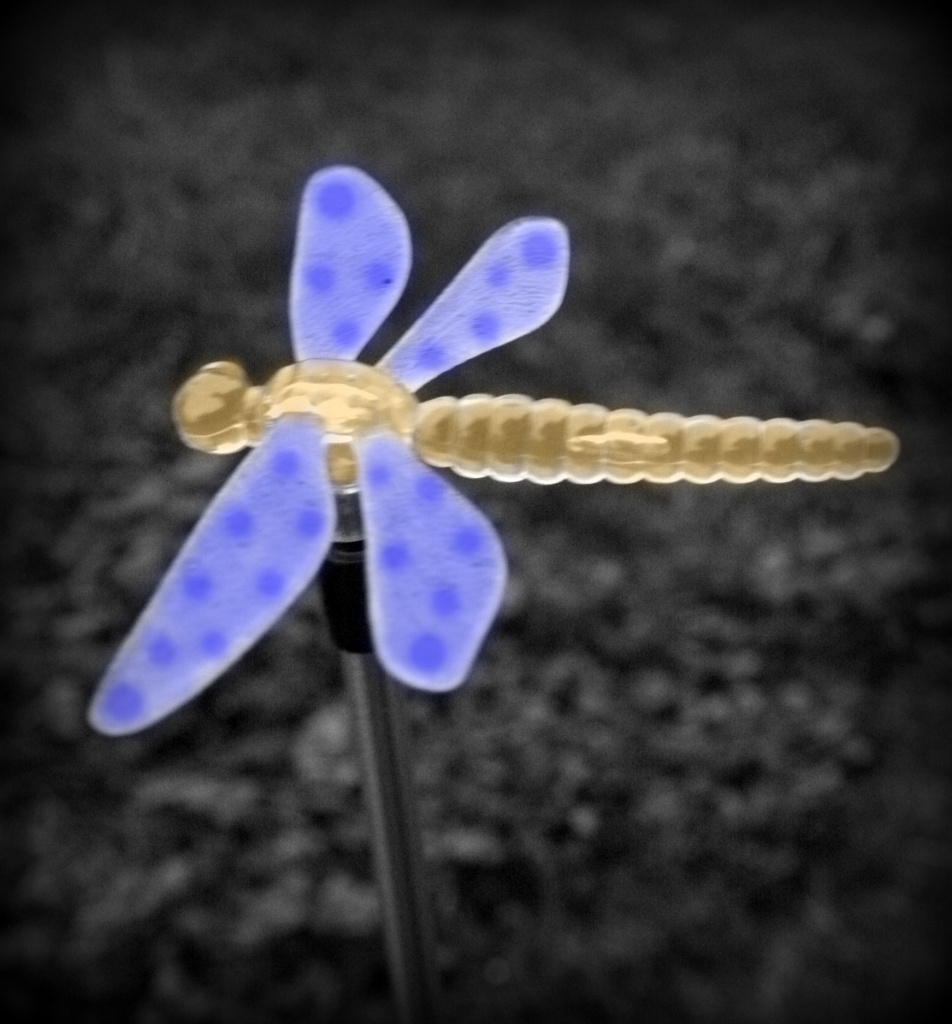 Dragonfly On A Stick by digitalrn