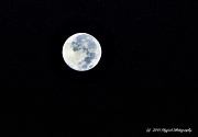 12th Oct 2011 - Morning Moon and Stars (best viewed enlarged)
