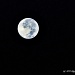 Morning Moon and Stars (best viewed enlarged) by flygirl