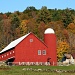 Big Red Barn by lauriehiggins