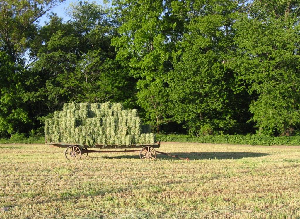 Day 107 Hay Wagon by spiritualstatic