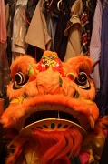 11th Oct 2011 - There's a lion in my closet