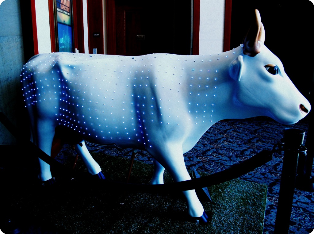 UGC (User Generated Cow) by lisaconrad