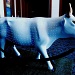 UGC (User Generated Cow) by lisaconrad