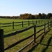 Horse field by mittens