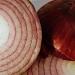 Red Onion by herussell