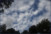 14th Oct 2011 - Clouds above Cedar Gardens
