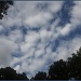 Clouds above Cedar Gardens by hjbenson