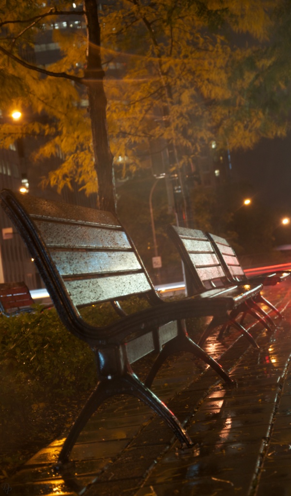 Rainy bench by dora
