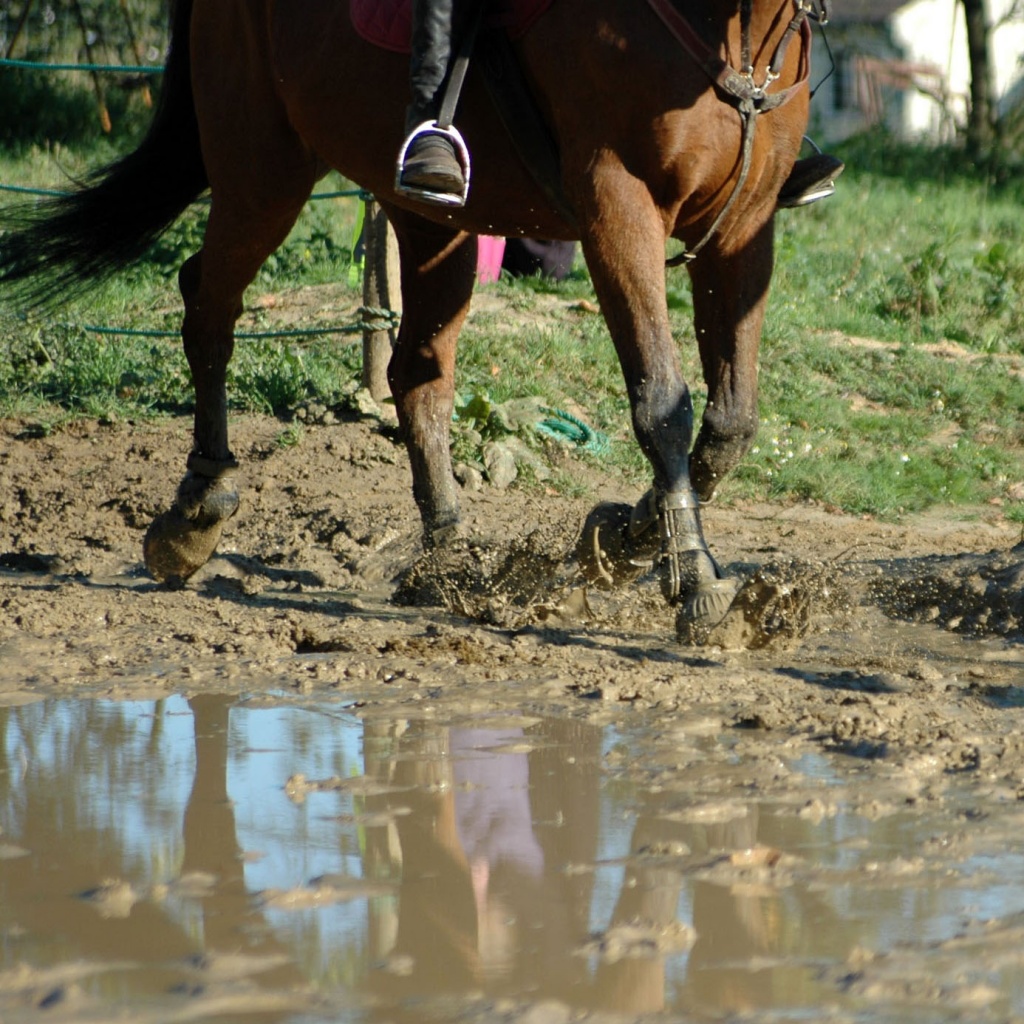 Into the mud by parisouailleurs