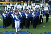 15th Oct 2011 - Taking the Field