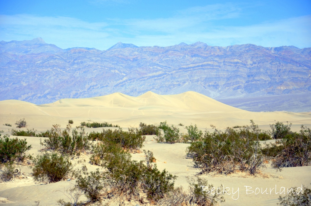 Death Valley by mamabec