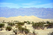 15th Oct 2011 - Death Valley