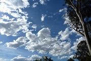 10th Oct 2011 - Sky