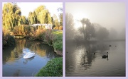 16th Oct 2011 - Riverside Park, St. Neots