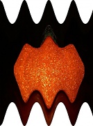 16th Oct 2011 - Pumpkin Bat