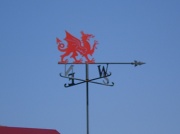 27th Sep 2011 - Welsh dragon.