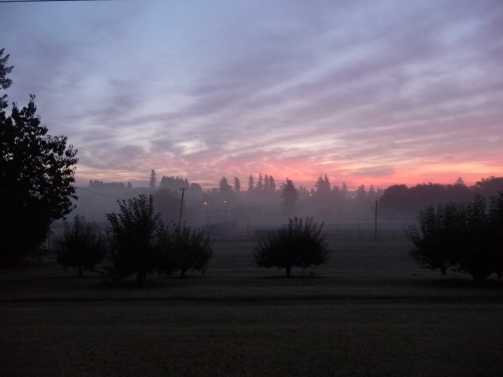 Frosty Morning Fog by marilyn