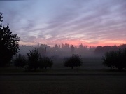 17th Oct 2011 - Frosty Morning Fog