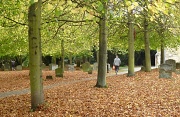 17th Oct 2011 - A walk through the churchyard