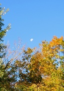 17th Oct 2011 - Good Morning Moon