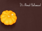 17th Oct 2011 - What's October without a Pumpkin? 
