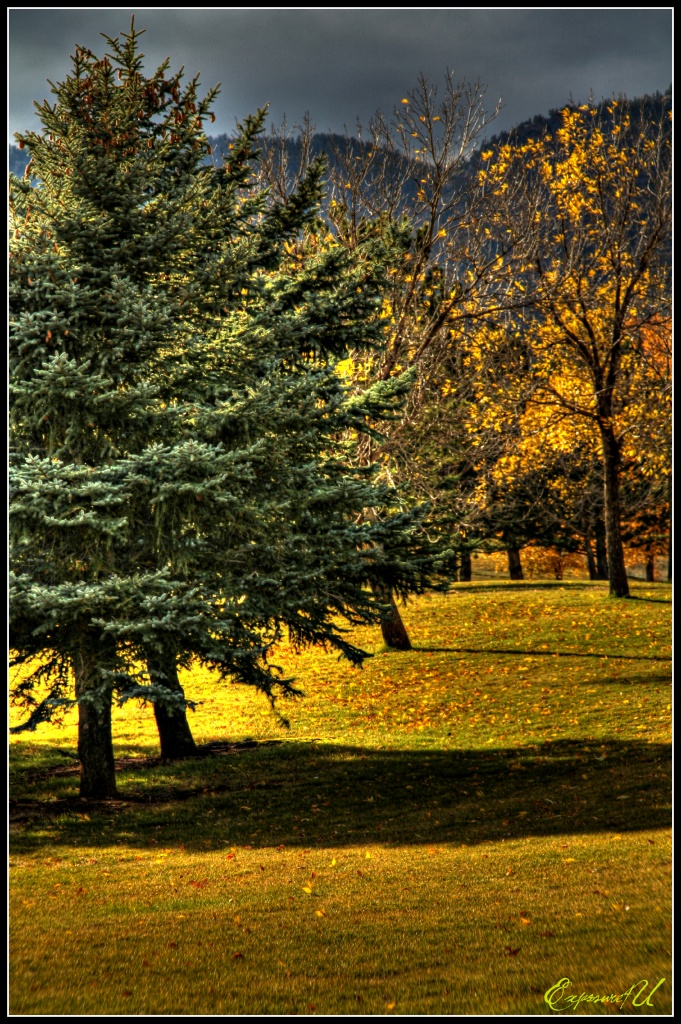 The Leaves are Falling by exposure4u