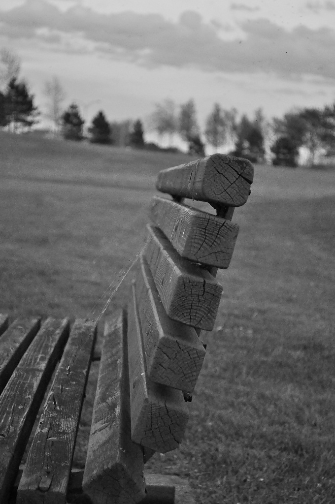 The bench by dora