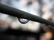 17th Oct 2011 - Droplet