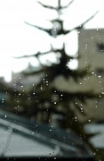 19th Oct 2011 - Rainy day thru the window
