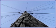 18th Oct 2011 - Telegraph pole