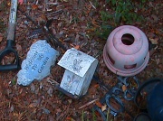 19th Oct 2011 - Garden Detritus