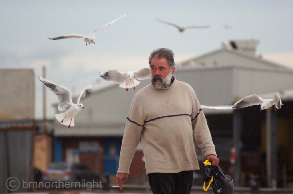 The Old Man and the Seagulls by bmnorthernlight