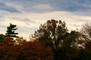 21st Oct 2011 - The Colors Of Fall