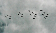 21st Oct 2011 - A swarm of superhornets