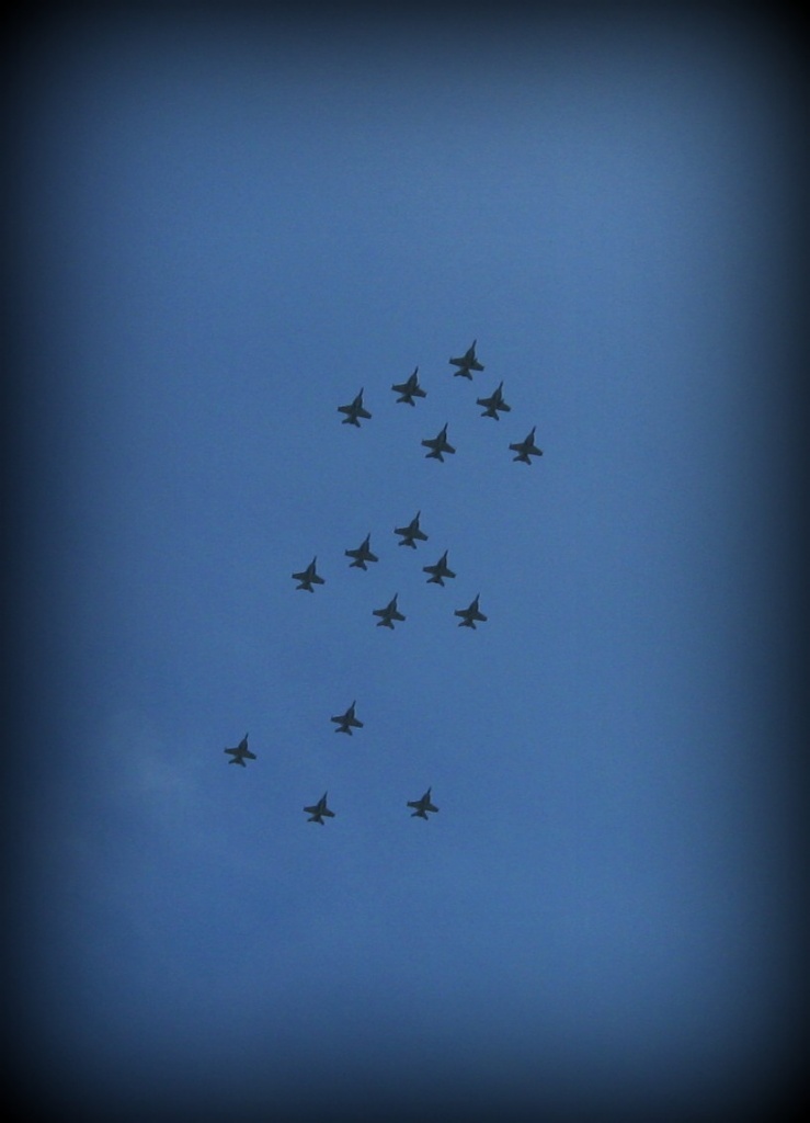Hornets in Formation by mozette