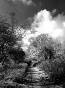 17th Oct 2011 - A path in the Hobbucks