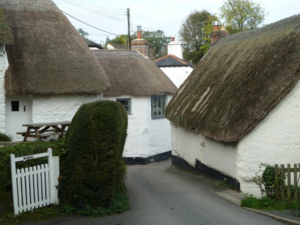 Thatched cottages by shepherdman