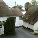 Thatched cottages by shepherdman