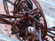 20th Oct 2011 - Rusty Wire